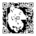 QR code www.sil-v.ch QR sil v1
